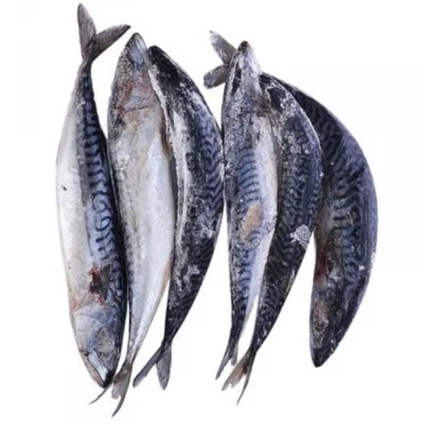 Titus Fish 1kg
